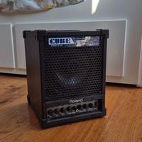 Roland Cube Monitor CM-30