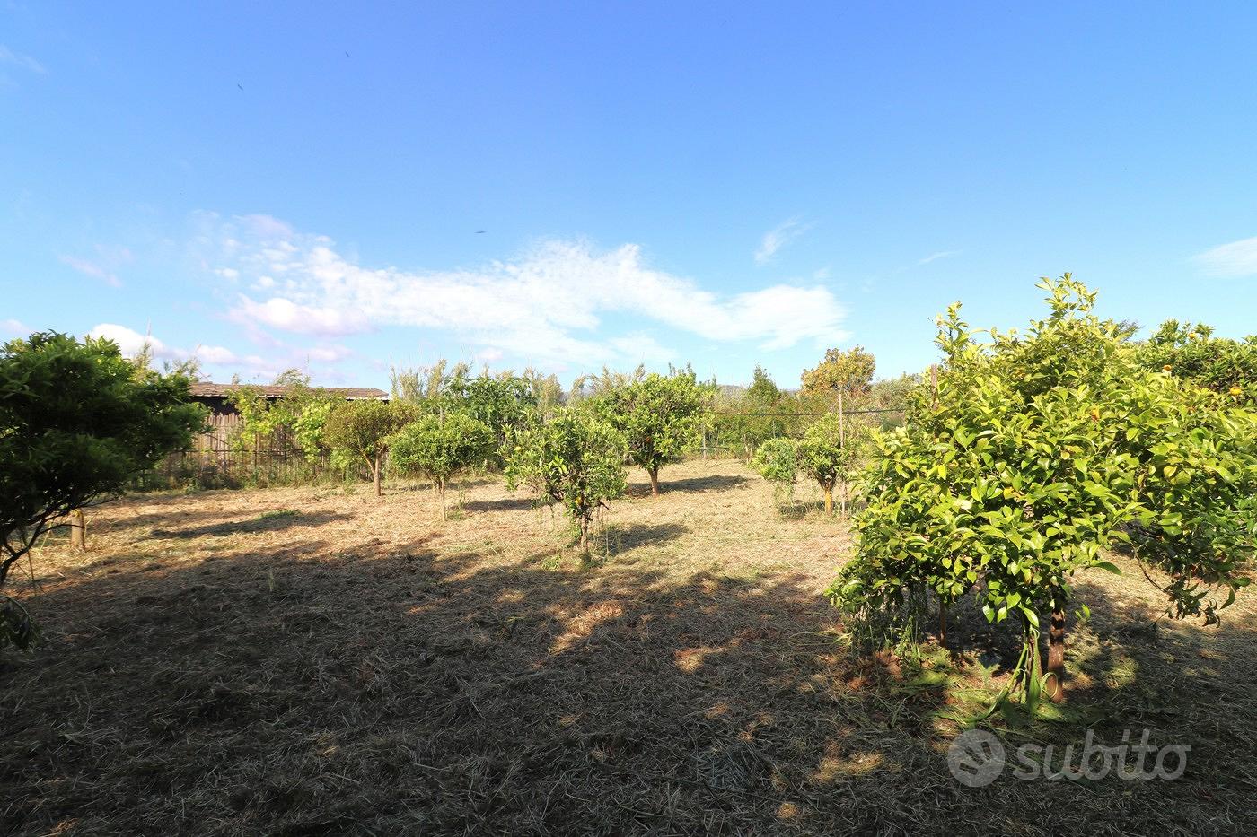 Terreno Agricolo Tortolì [Cod. rif 3232350VRG] - View 4