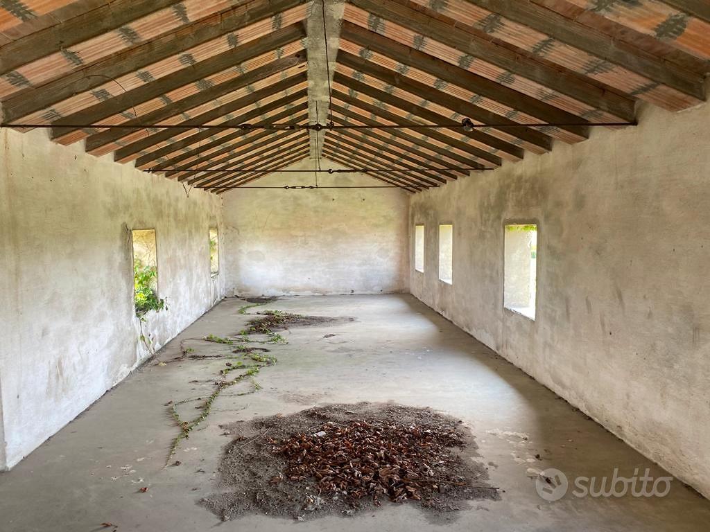 DOGALETTO Rustico immerso nel verde da restaurare - Altro