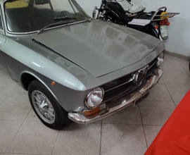 Gt junior