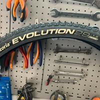 Gomme mtb 29 vittoria evolution