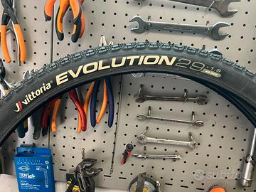 Gomme mtb 29 vittoria evolution
