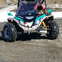 Buggy 500, quad, auto fuoristrada pat. B