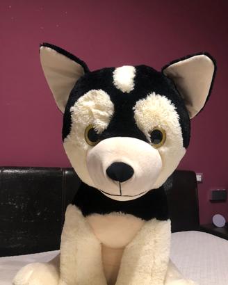 Peluche XL Cane