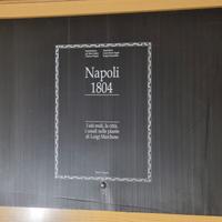 Mappe topografiche della città di Napoli