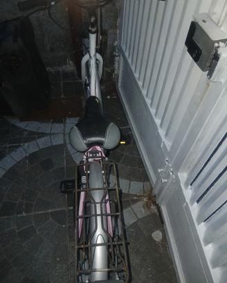 Bicicletta Mountain Bike Frejus MT. FR 680