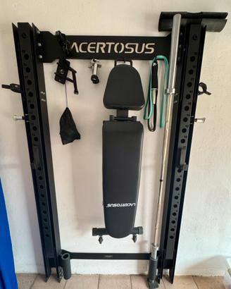 Home gym Lacertosus