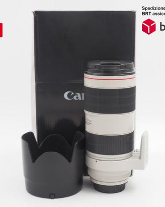 Canon EF 70-200 F2.8 L IS III USM (Canon)
