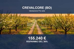 Immobile in asta di 97540 m² a Crevalcore