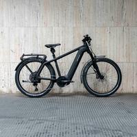 Ebike Riese & Muller Charger4 GT Touring ABS