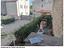 Immagine 13