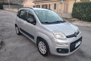 Fiat Panda 12 69 cv Benzina 2013 