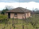 zafferana-villino-indipendente-terreno-palmento