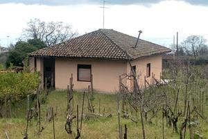 Zafferana villino indipendente - terreno- palmento