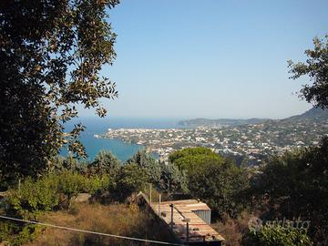 Terreno agricolo in Forio alla Via Costa
