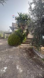 Casa Indipendente - Santa Maria di Licodia