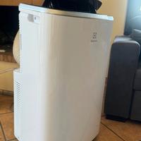 Condizione portatile Electrolux