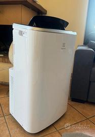 Condizione portatile Electrolux