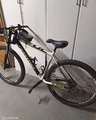 Mountain bike carbonio 