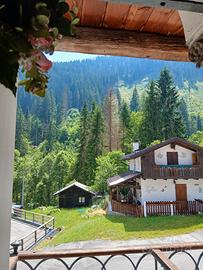 Montagna appartamento