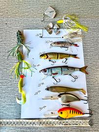 Lotto Artificiali Bass Fishing