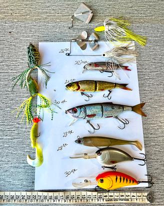 Lotto Artificiali Bass Fishing