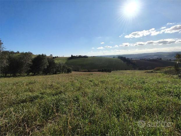 V003768 OSIMO TERRENO AGRICOLO