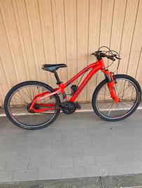Bicicletta
