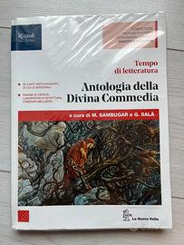 Libro Antologia Divina Commedia