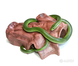 Tronco tana grotta serpente rettili