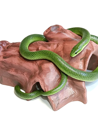 Tronco tana grotta serpente rettili