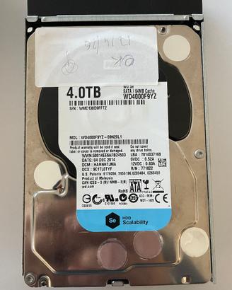Dischi Fissi WD 4TB WD4000F9YZ