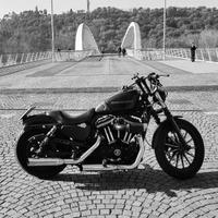 Harley-Davidson Sportster 883 - Iron