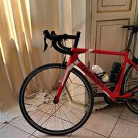 Wilier triestina gtr team