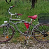Bici Honolulu