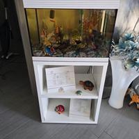 Acquario askoll con mobile 