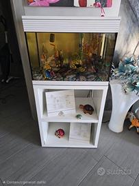Acquario askoll con mobile 