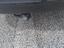 Immagine 29