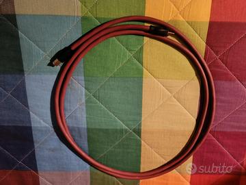 Cavo Trasparent Performance 