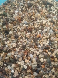 Ghiaia per acquario