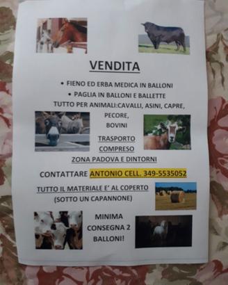 Fieno + medica imb. in balloni rotondi per animali
