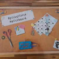 Bacheca in sughero 60x42 cm