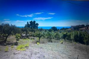 Terreno E/4 agricola di salvaguardia