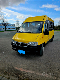 Fiat ducato maxi 9 posti