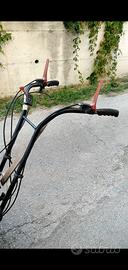 Trincia erba trazionato meccanica benassi 