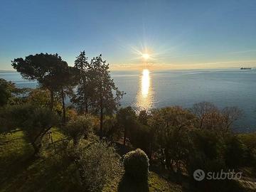 Villa di 467 m² con 4 locali a Trieste