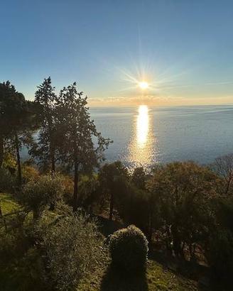 Villa di 467 m² con 4 locali a Trieste