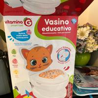 Vasino educativo