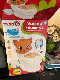 Vasino educativo