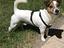 Immagine 3